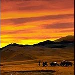 Sunset in the Gobi desert