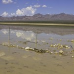 Lake Ivanpah