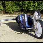 PTW Viper 01