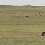 2015.06 Madway Mongolia 003